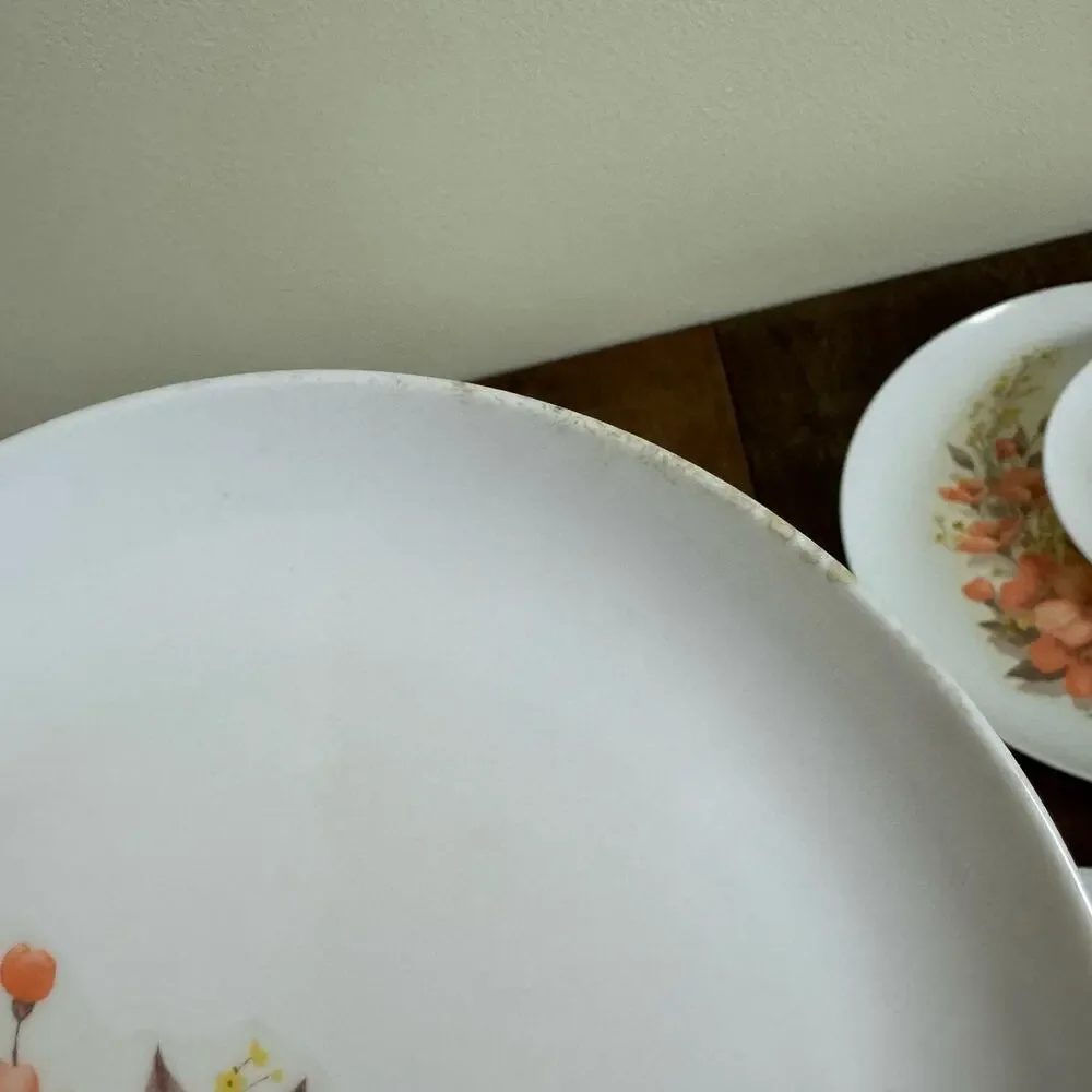 Mar-Crest Melmac VINTAGE peach floral dinner & bread 5 place setting‎